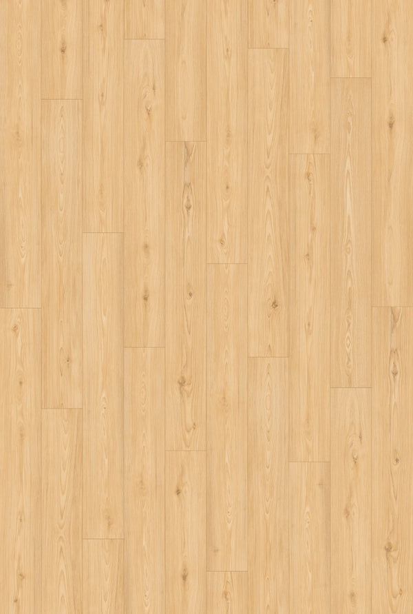 Inhaus - Icon Collection (CERAMIN®) - Brookes Wood