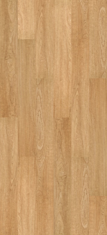 Harbinger Floors -  Contract Series - Bonsai Maple