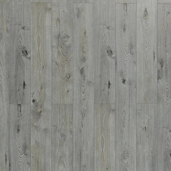 Toucan- Water Resistance Laminate Collection - TF8003