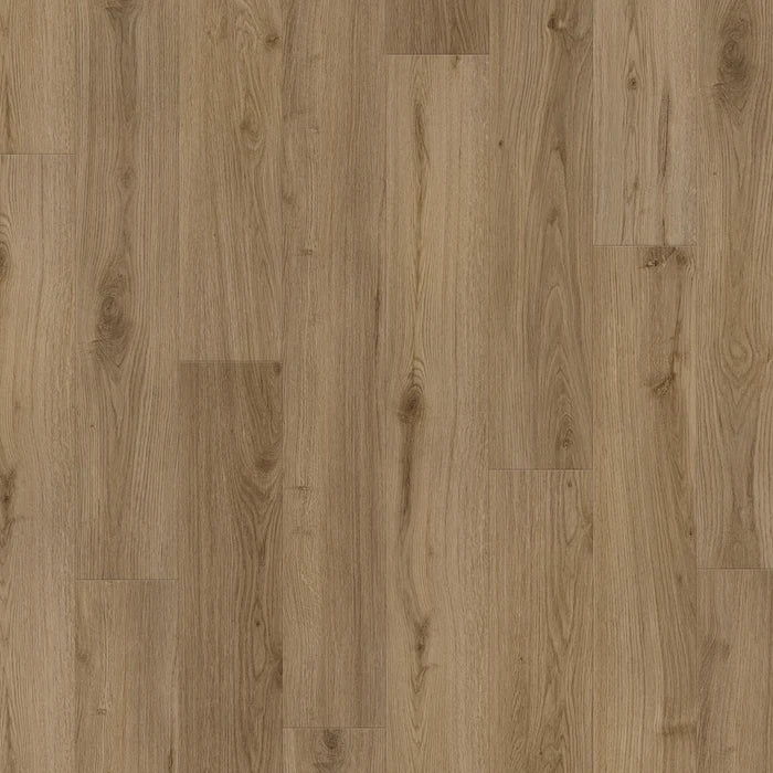 Biyork - Hydrogen 6 - Firewood - Vinyl