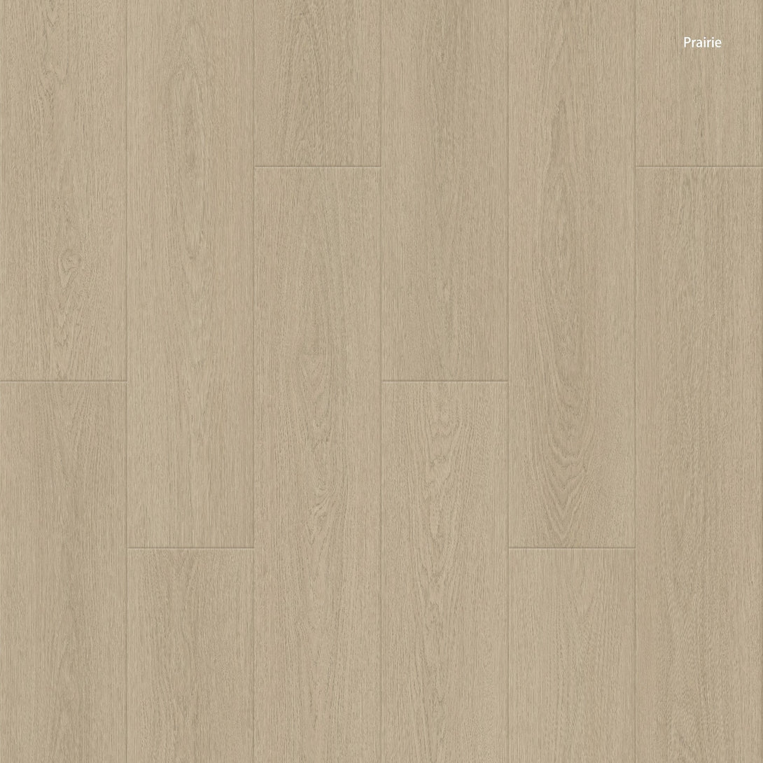 Cyrus Floors - Galaxy Collection - Prairie - Laminate