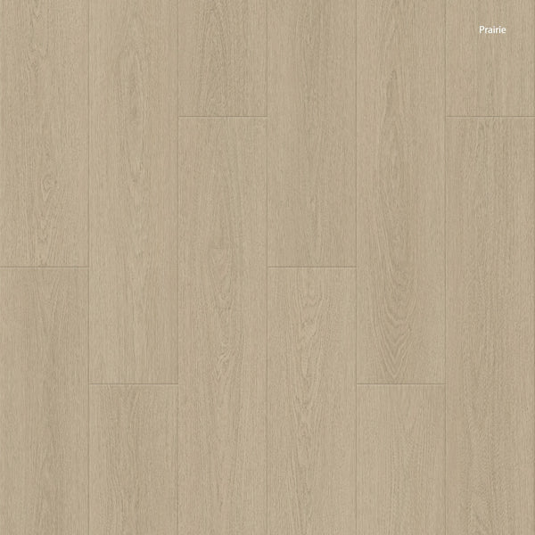 Cyrus Floors - Galaxy Collection - Prairie - Laminate