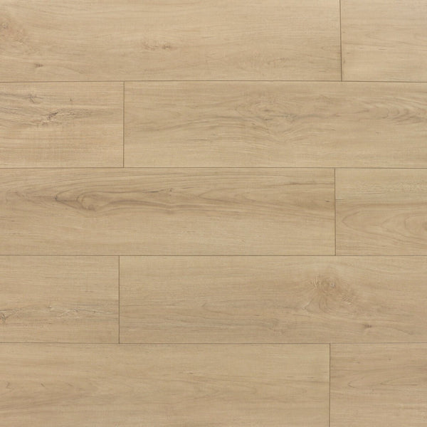 Cyrus Floors - Maple Essence Collection - Almond - Laminate