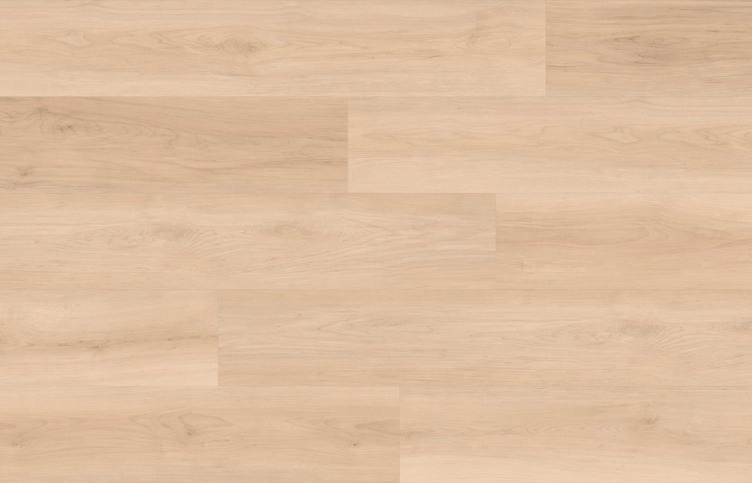 Cyrus Floors - Maple Essence Collection - Honey - Laminate