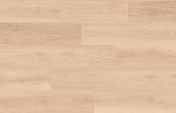 Cyrus Floors - Maple Essence Collection - Honey - Laminate