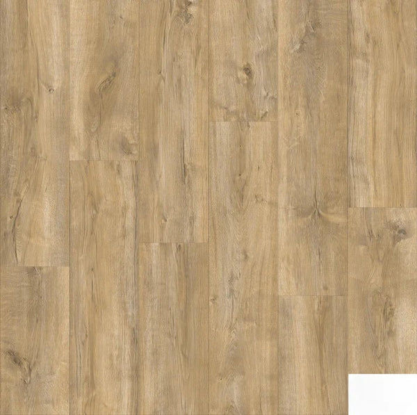 Cyrus Floors - Nautilus Collection - Rugby - Vinyl