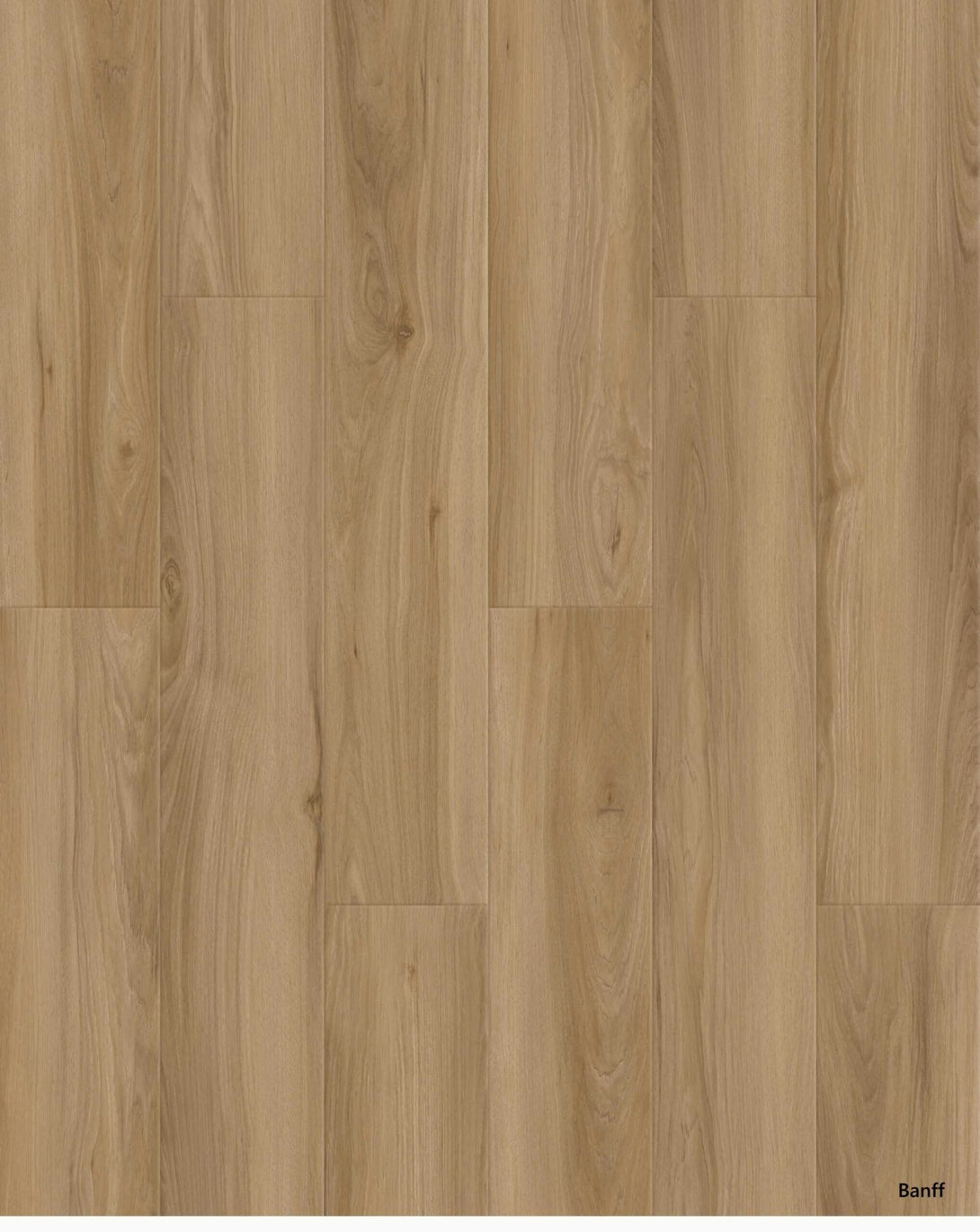 Cyrus Floors - Prime Guard Collection - Banff - Laminate