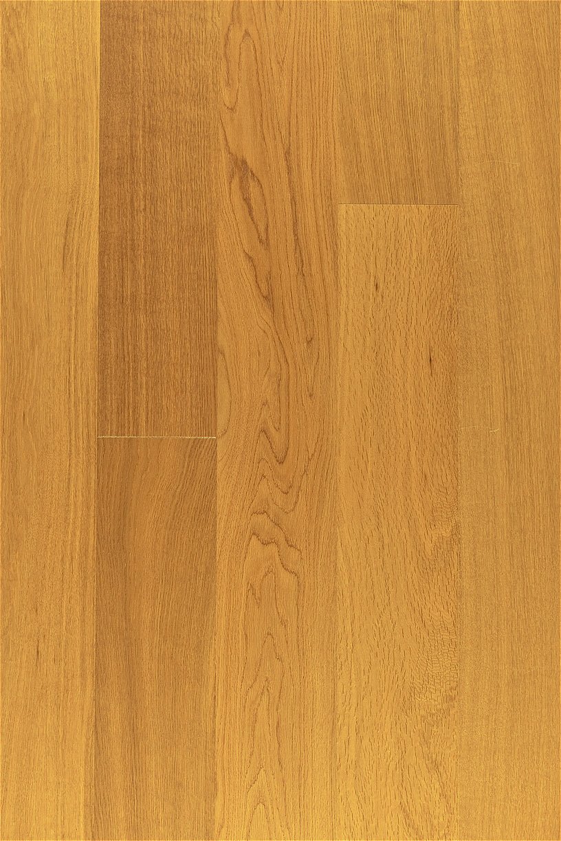 Envision Floors - Elegance Collection 6 - Cariboo Gold - Engineered Hardwood