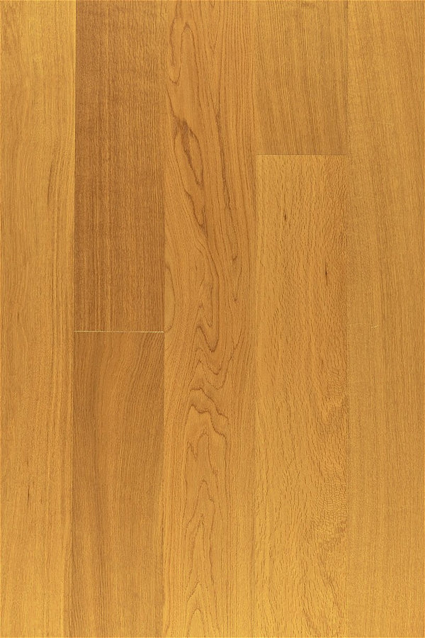 Envision Floors - Elegance Collection 6 - Cariboo Gold - Engineered Hardwood