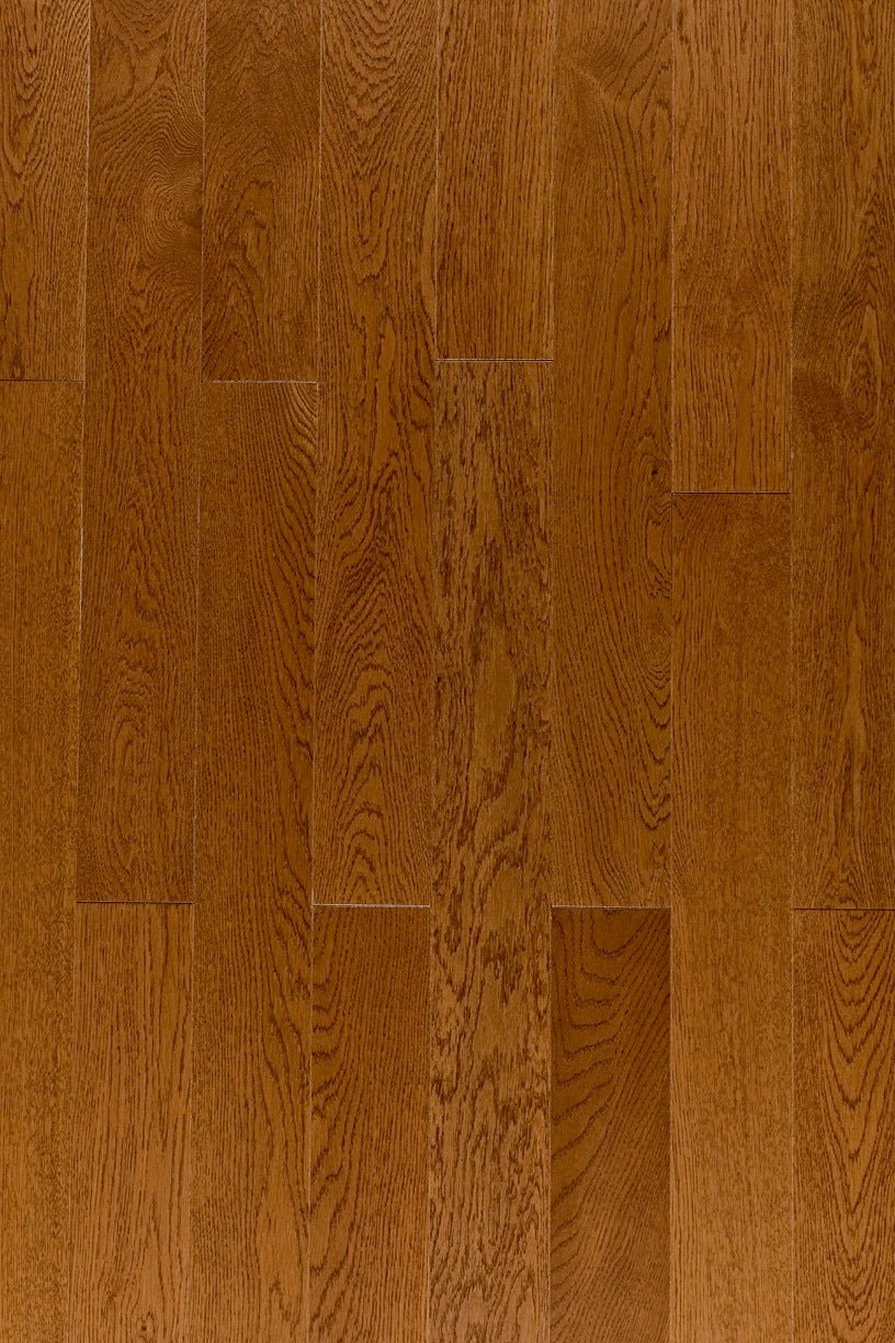 Envision Floors - FusionPlus3 - Oak Auburn - Engineered Hardwood