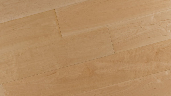 Envision Floors - FusionPlus5 - Natural Maple - Engineered Hardwood