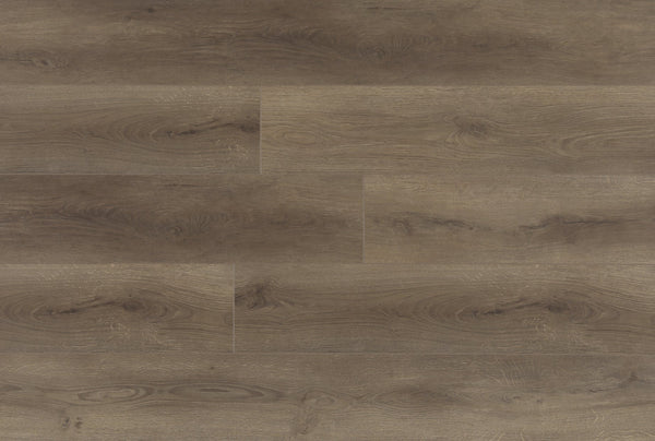 Envision Floors - Solution Collection - Lager - Laminate