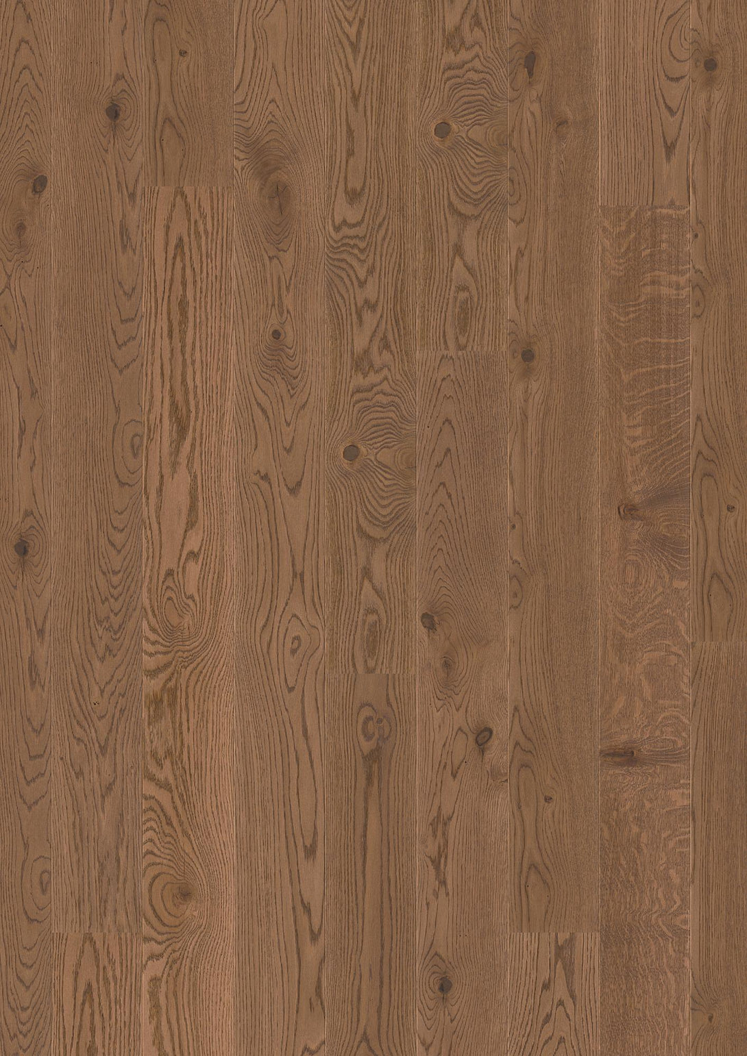 Europlex - BOEN - Oak Ginger Brown Live Pure - Engineered Hardwood