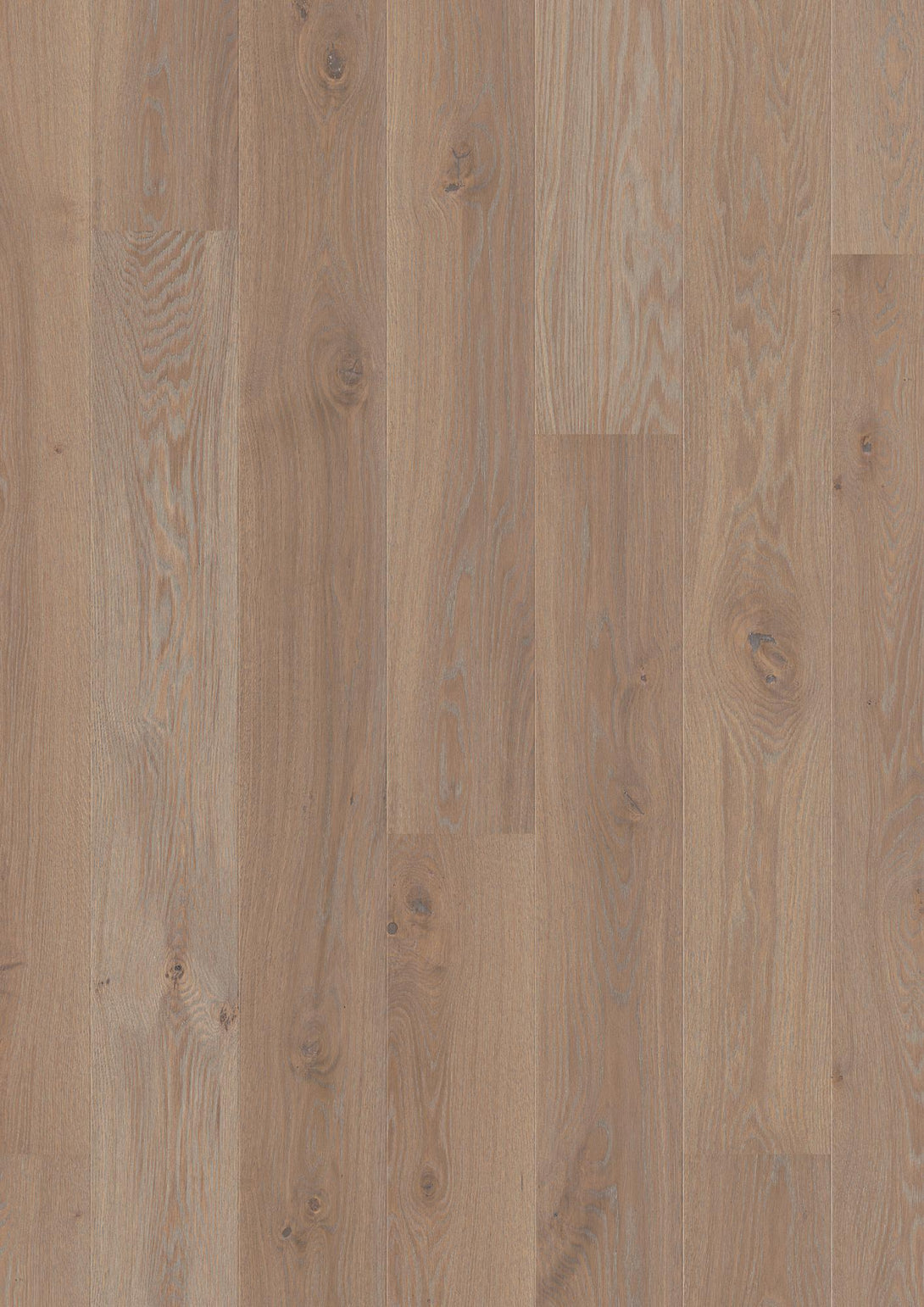 Europlex - BOEN - Oak Warm Grey Live Pure - Engineered Hardwood