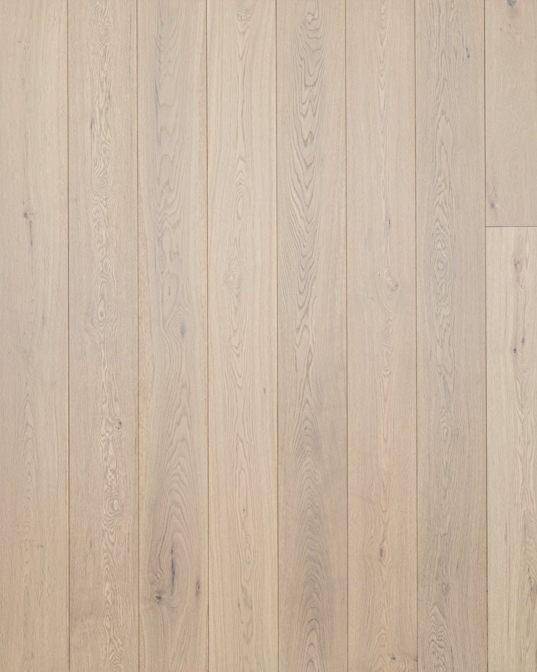 Floor Tek - North West Collection - Willistion - Engineered Hardwood