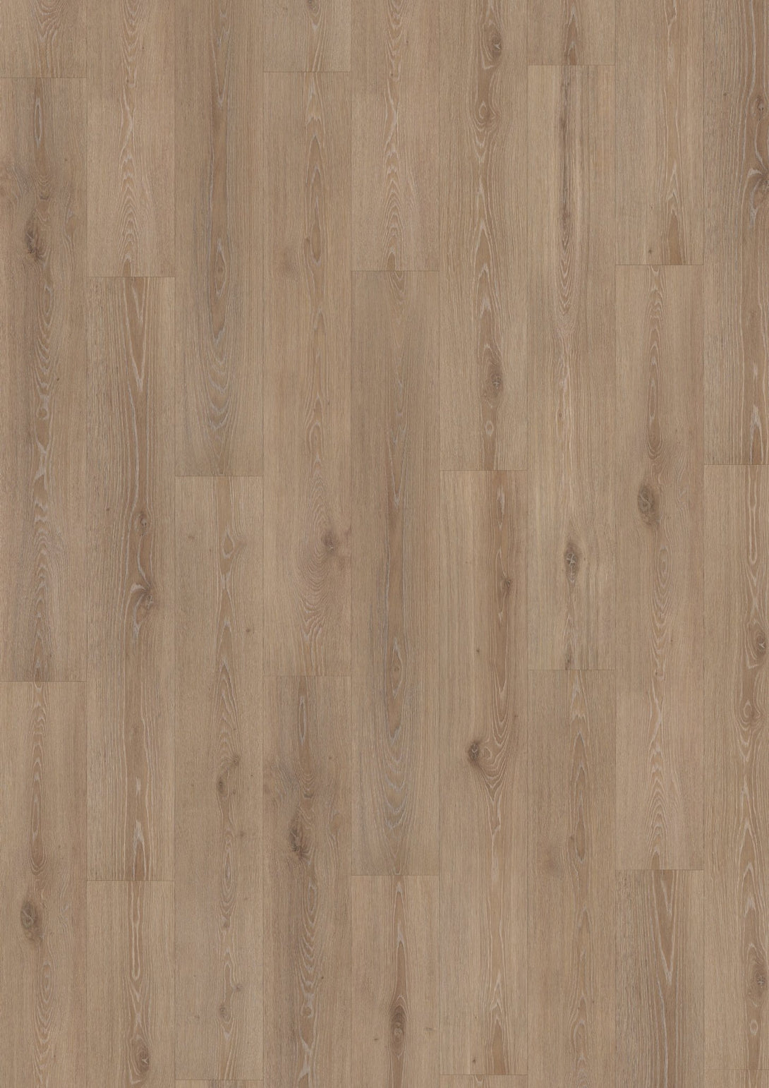 Grandeur Flooring - 12 Collection - Roble Twilight - Laminate