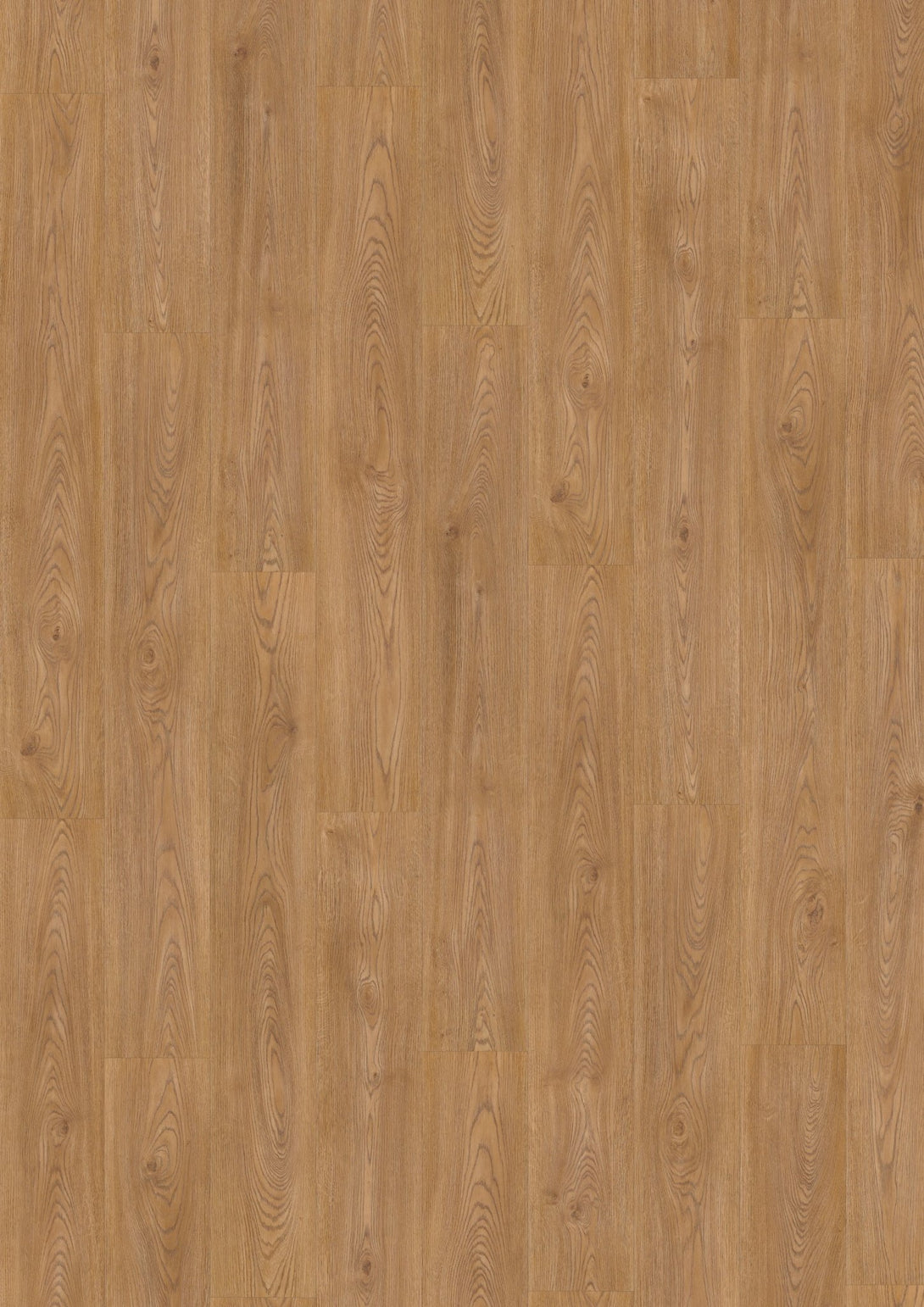 Grandeur Flooring - 12 Collection - Viena Dorado - Laminate