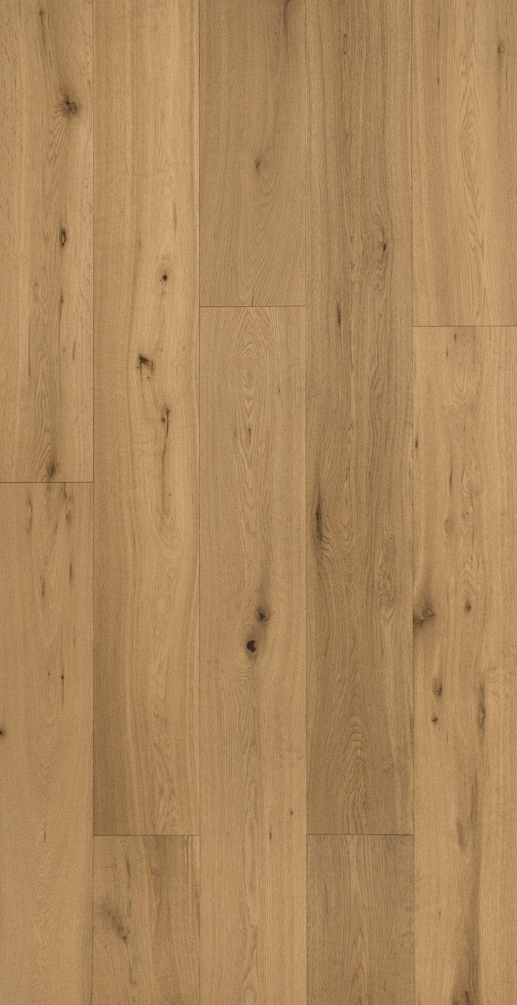 Grandeur Flooring - Enterprise Collection - Nordic Sand - Engineered Hardwood