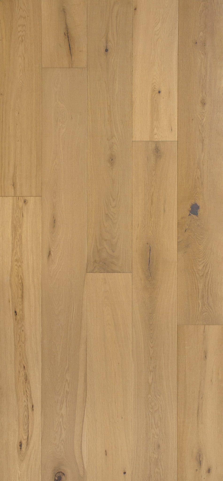 Grandeur Flooring - Enterprise Collection - Petrichor - Engineered Hardwood