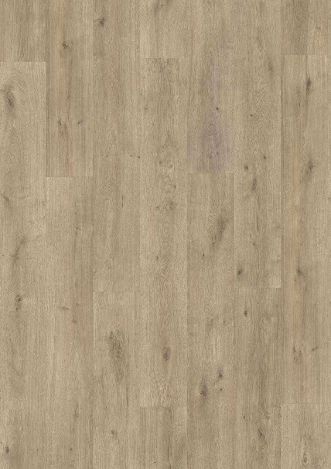 Grandeur Flooring - XXL Collection - Fuji - Laminate