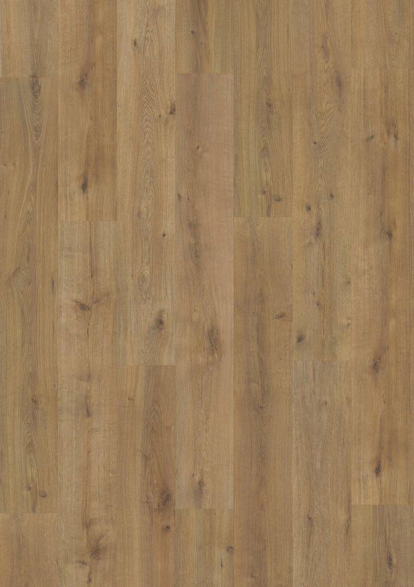 Grandeur Flooring - XXL Collection - Kilimanjaro - Laminate