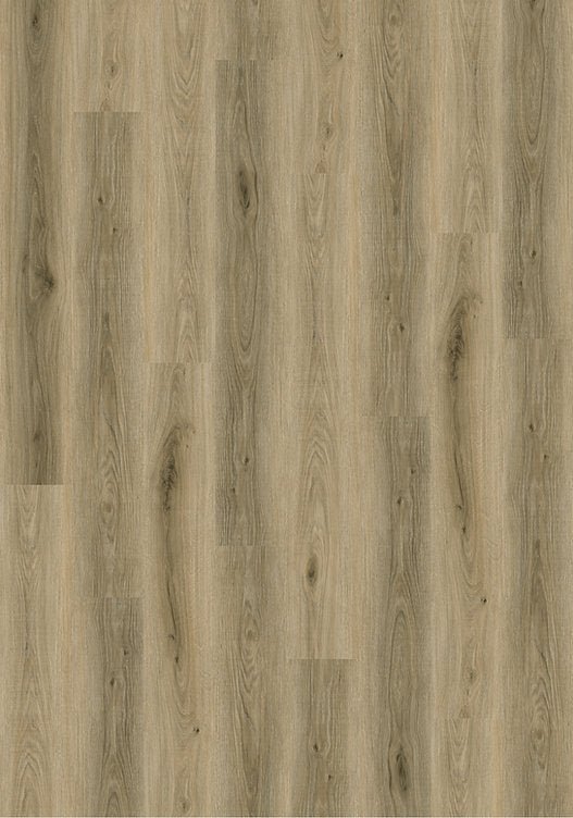 Harbinger Floors - The Quiet Zone - Cirrus - Vinyl