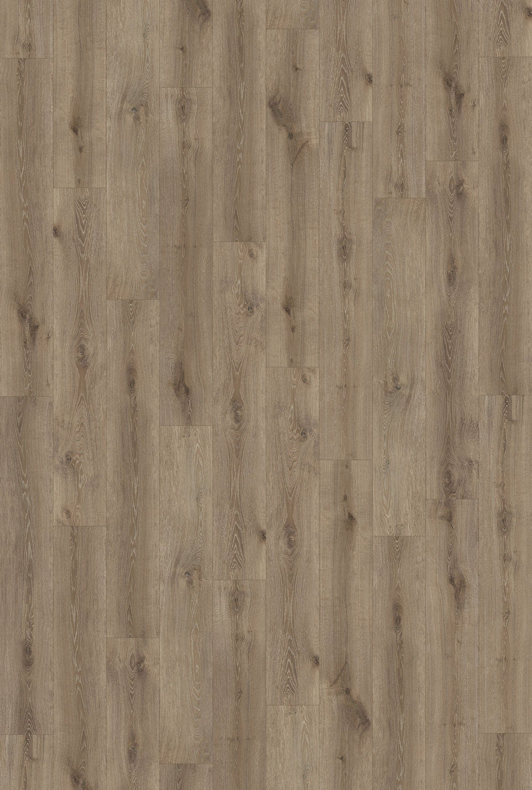 Inhaus - Gallery Collection (CERAMIN®) - Parkside - Vinyl