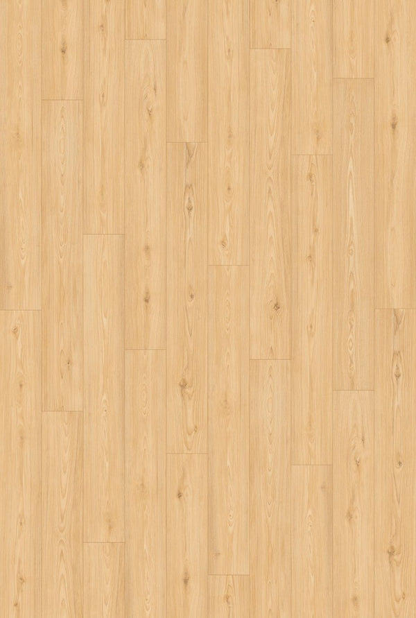 Inhaus - Icon Collection (CERAMIN®) - Brookes Wood - Vinyl