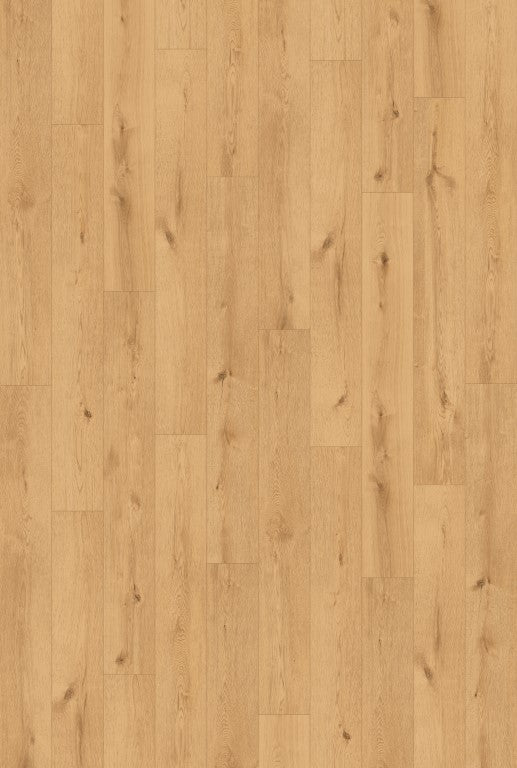 Inhaus - Icon Collection (CERAMIN®) - Hollyburn - Vinyl