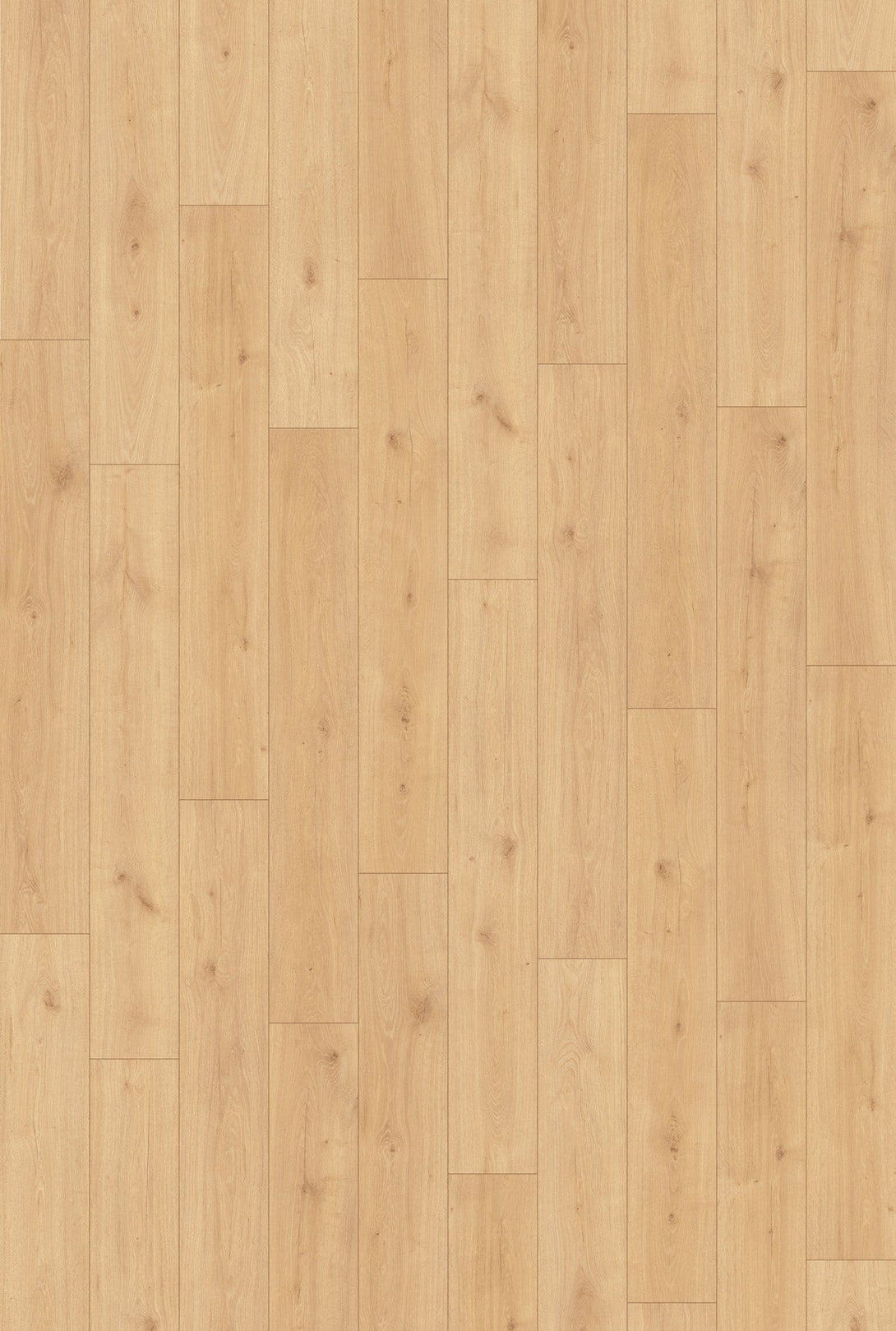 Inhaus - Landmark Collection - Ellesmere - Laminate