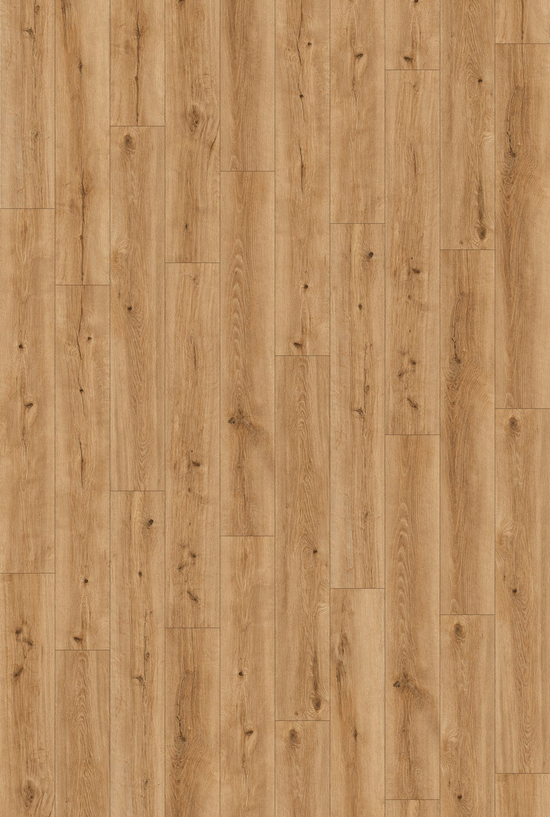 Inhaus - Landmark Collection - Hawkesbury - Laminate