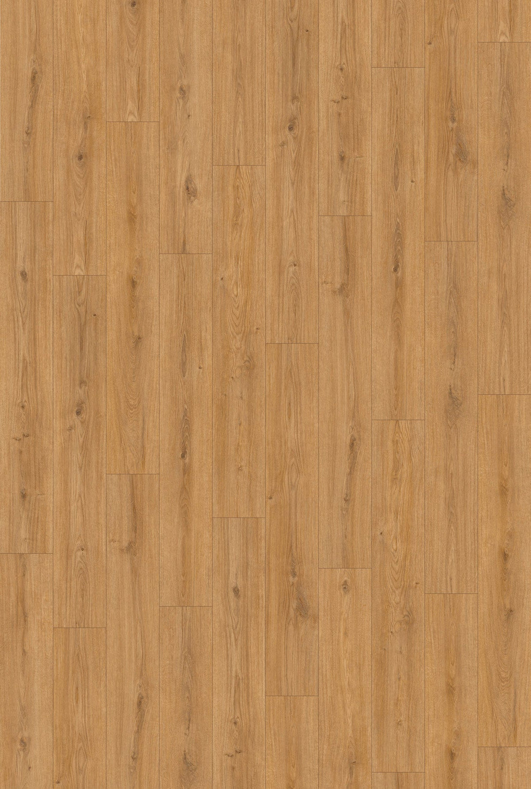 Inhaus - Landmark Collection - Ridgeview - Laminate