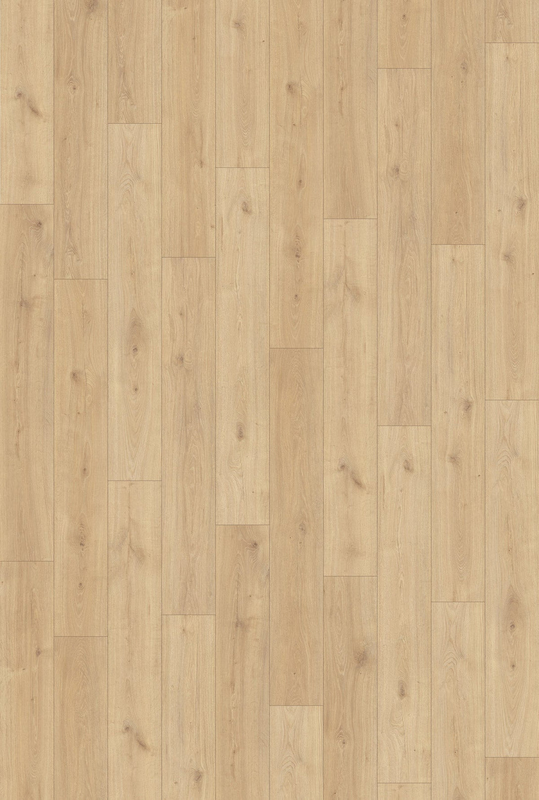 Inhaus - Landmark Collection - Springfield - Laminate