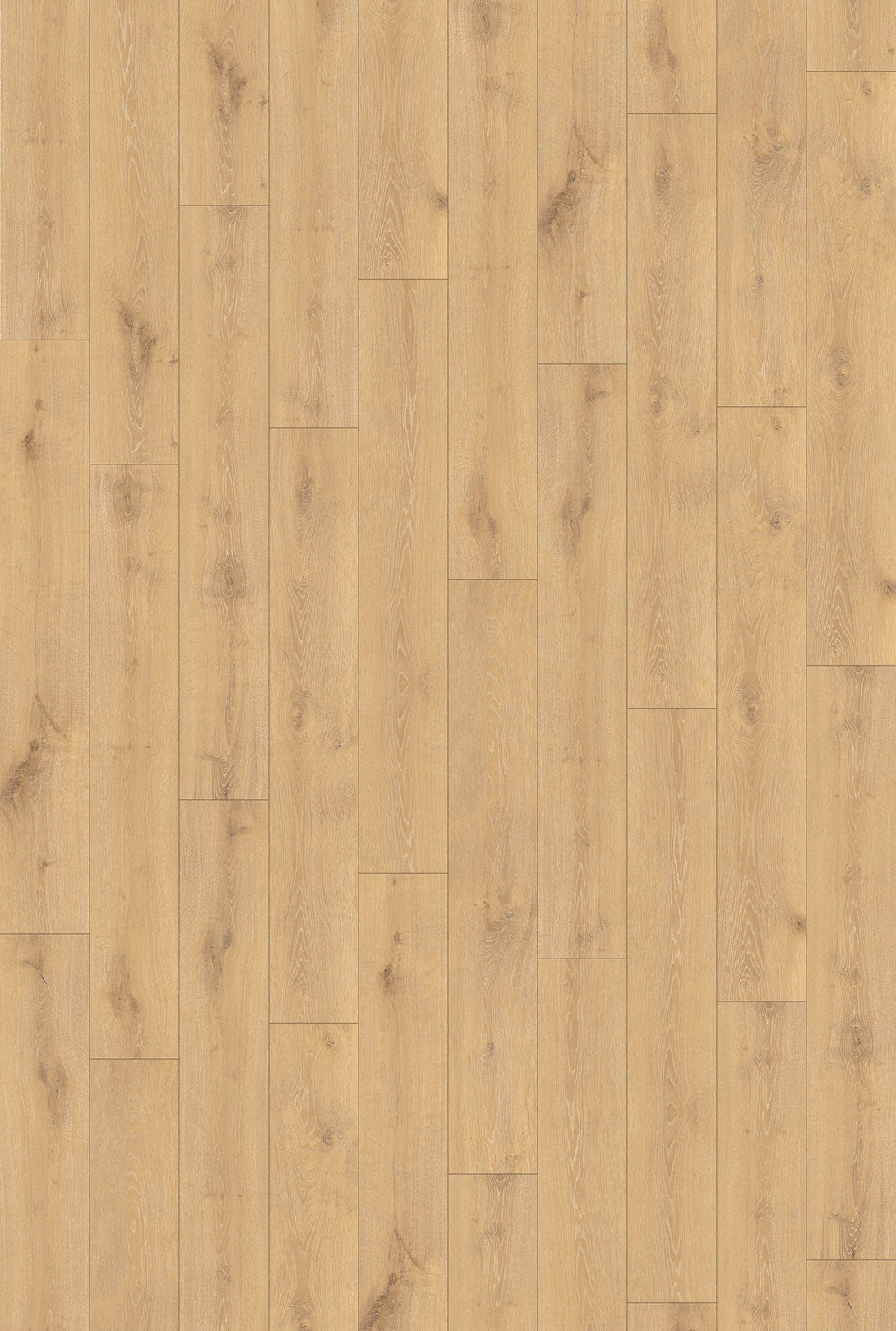 Inhaus - Landmark Collection - Windsor - Laminate