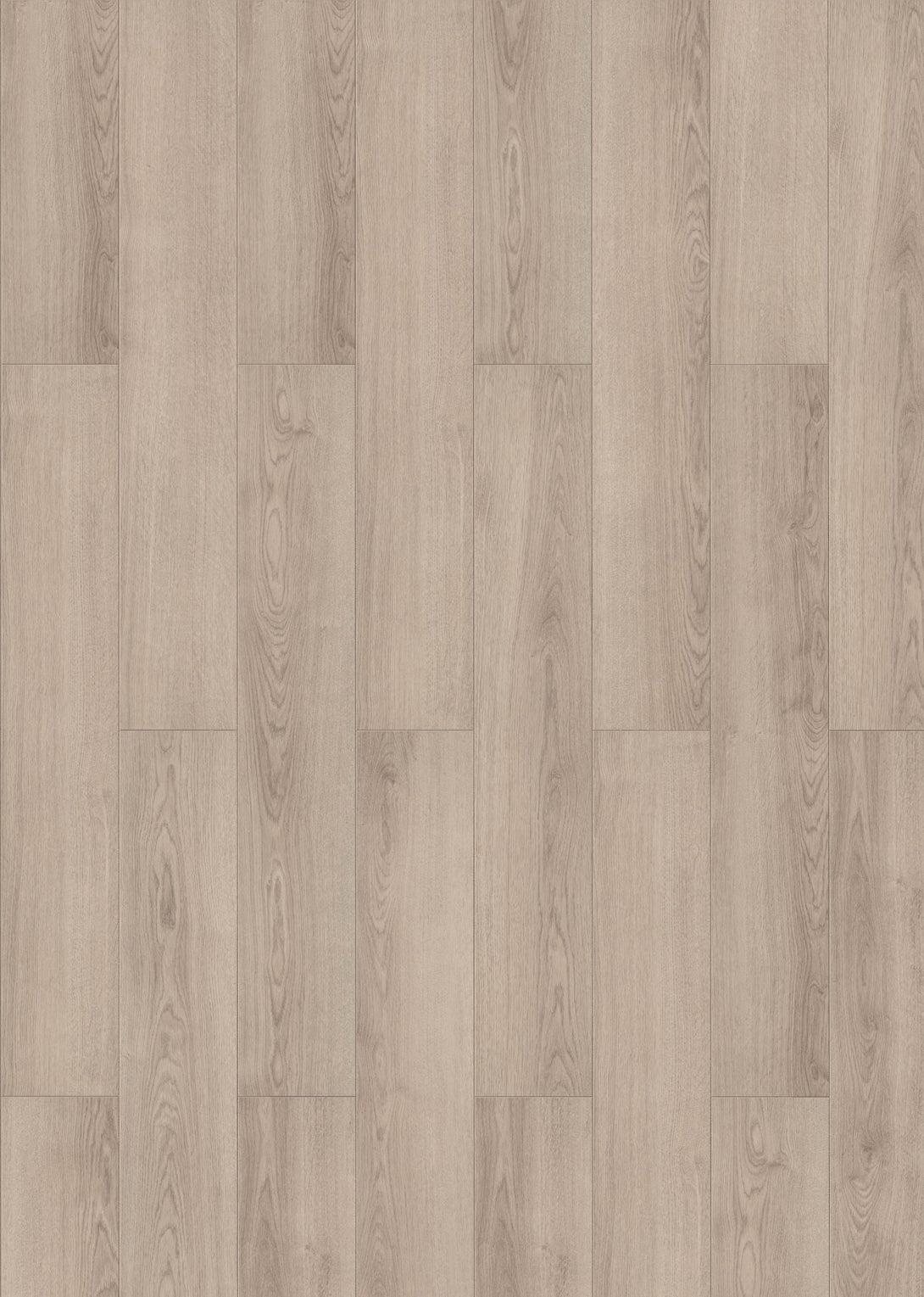 Inhaus - Visions Collection - Adelaide - Laminate