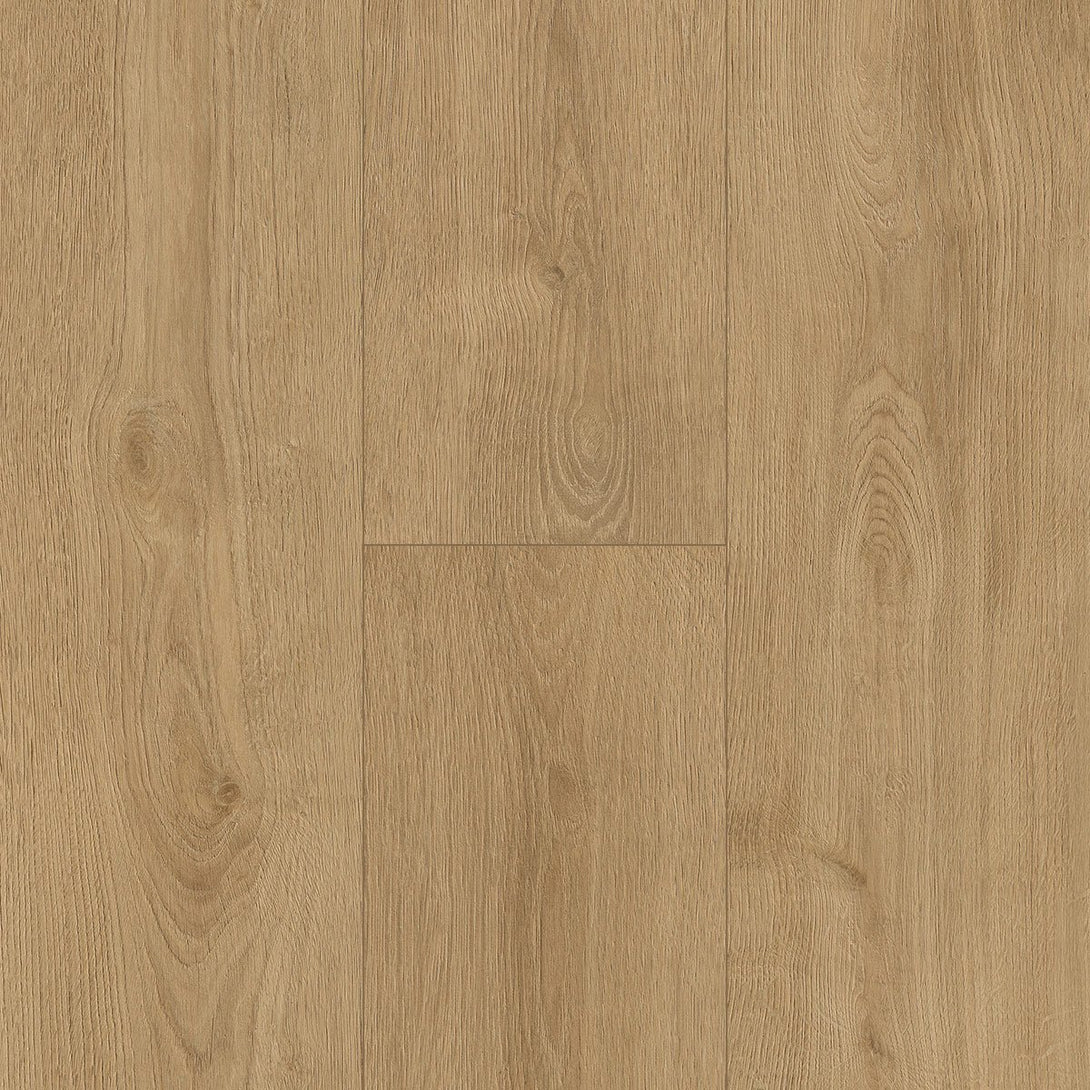 Inhaus - Visions Collection - Clarke - Laminate