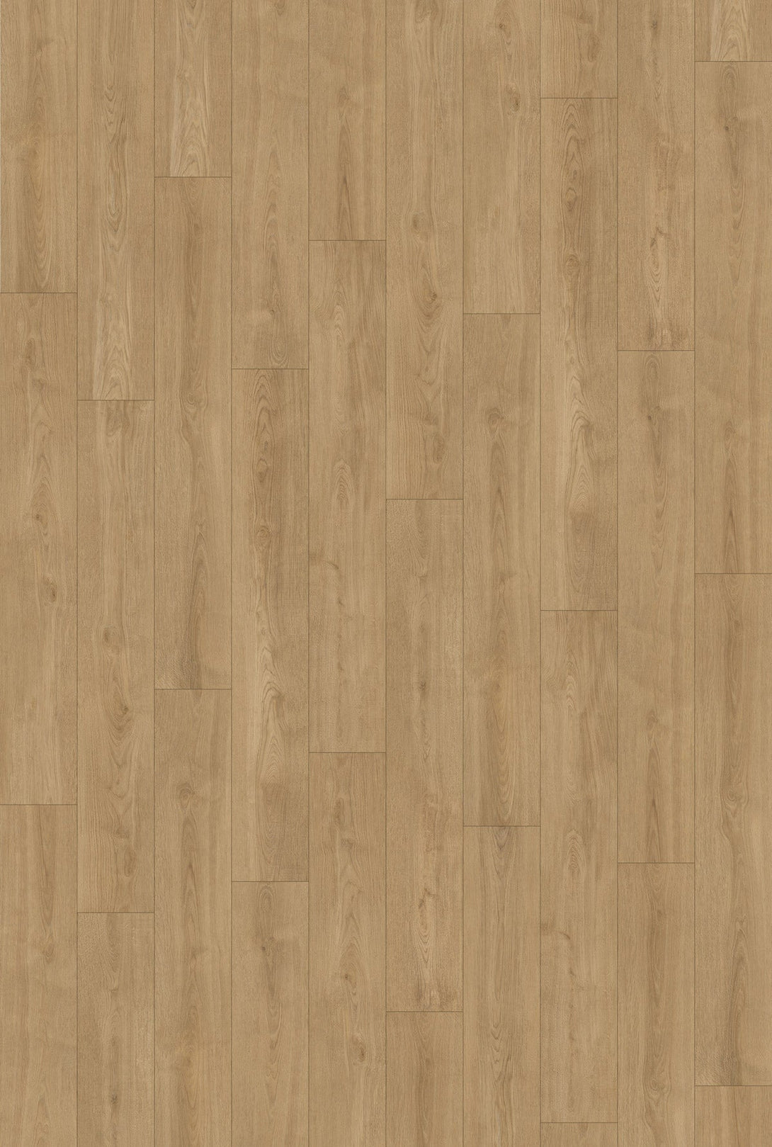 Inhaus - Visions Collection - Clarke - Laminate