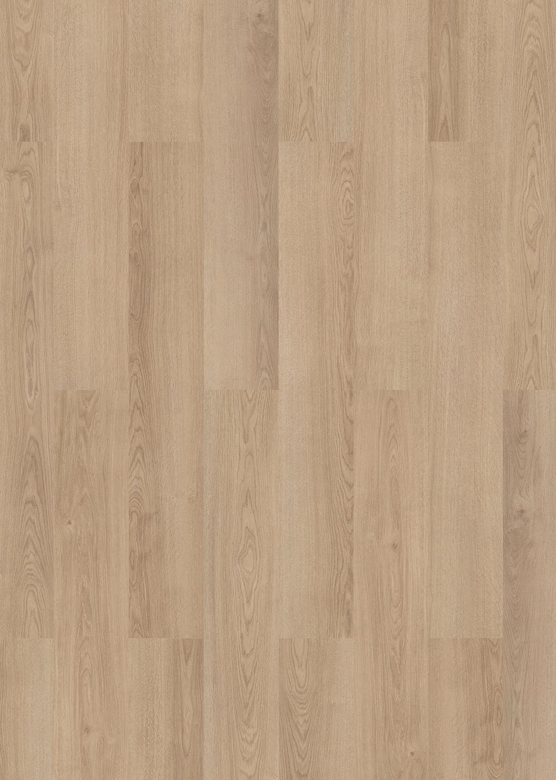 Inhaus - Visions Collection - Hobart - Laminate