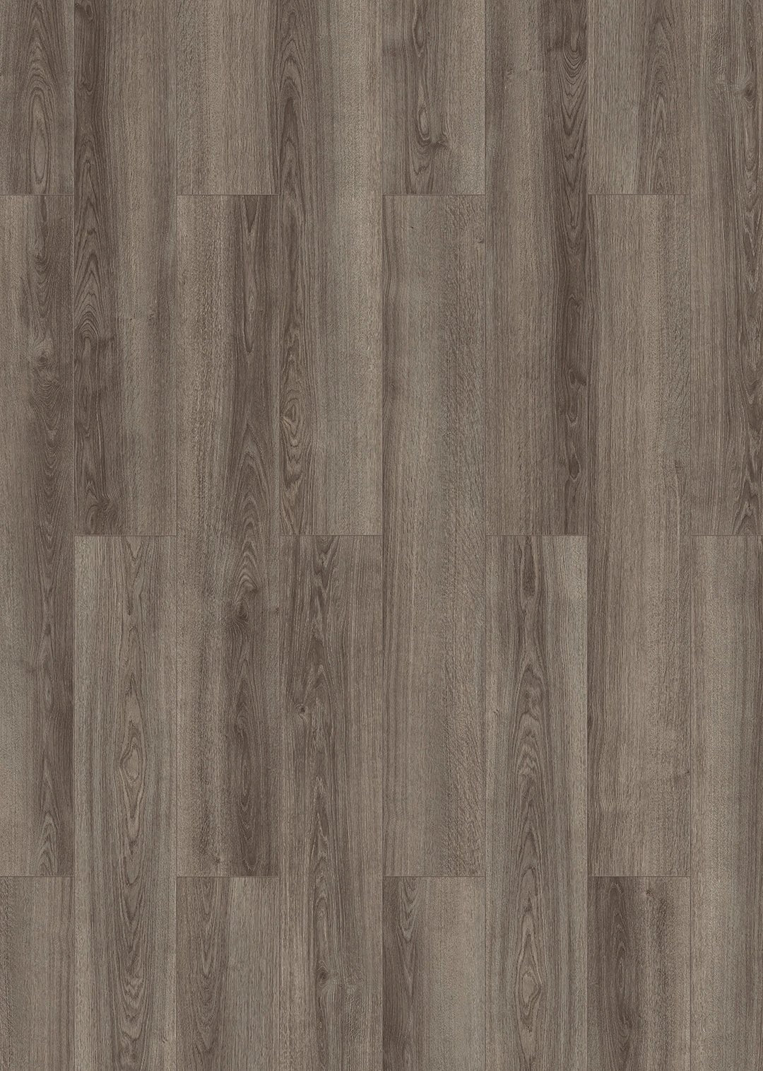 Inhaus - Visions Collection - Nelson - Laminate