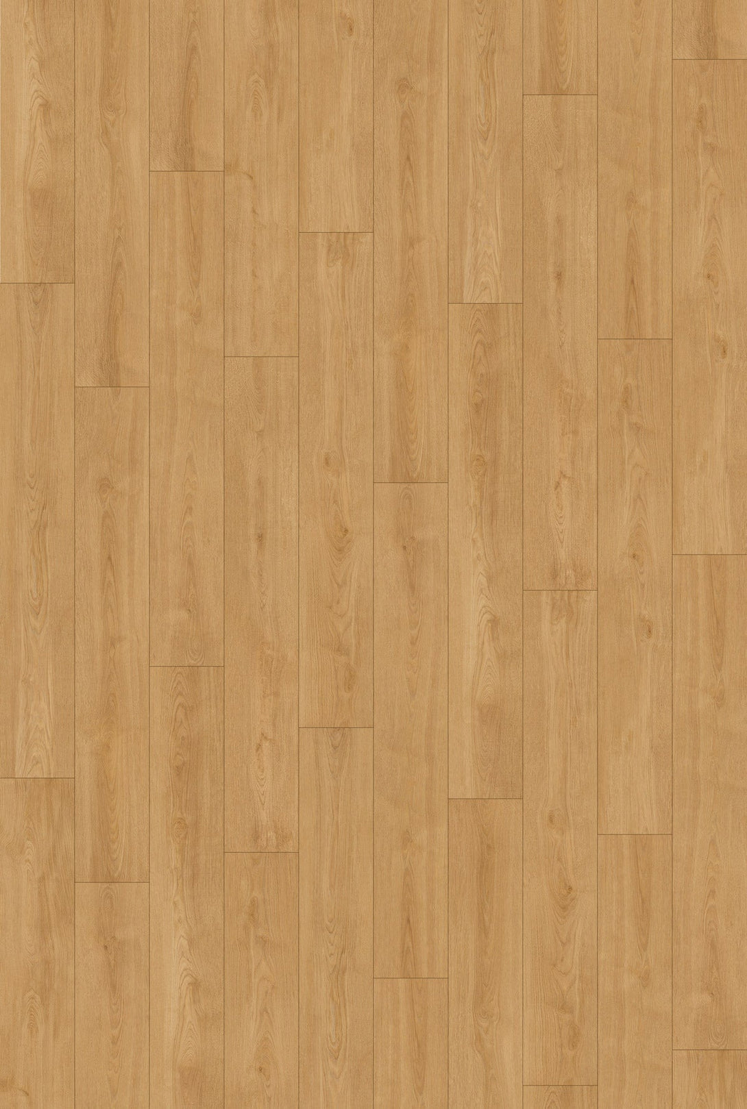 Inhaus - Visions Collection - Wheatley - Laminate