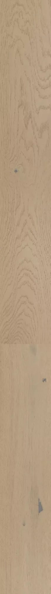 Mohawk - National Forest CEK08 - 31 Sailcloth Oak - Engineered Hardwood