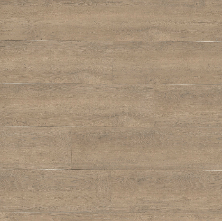 MSI Surfaces - Shorecliffs Collection - Brundinson - Laminate
