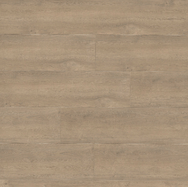 MSI Surfaces - Shorecliffs Collection - Brundinson - Laminate