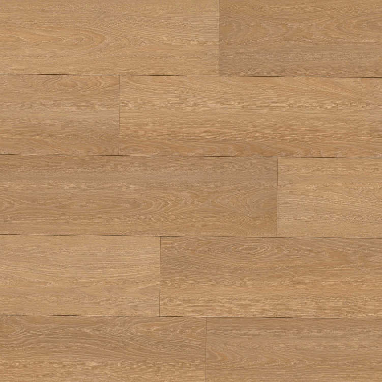 MSI Surfaces - Shorecliffs Collection - Wallingford Blonde - Laminate