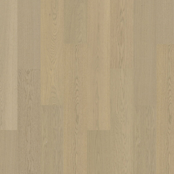 Oakel City - Engineered Hardwood Collection - Daybreak (AB Grade) - Engineered Hardwood