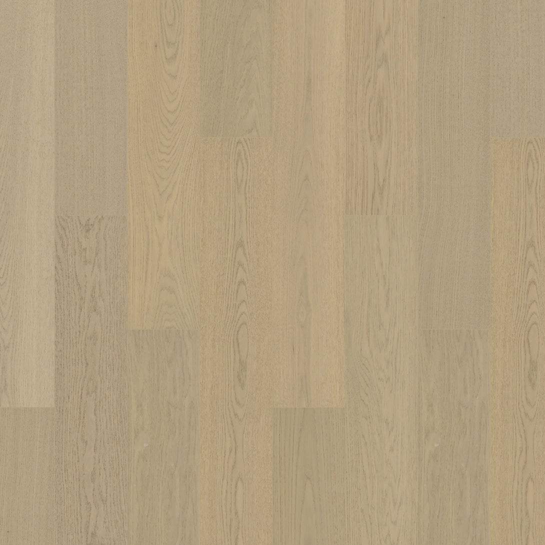 Oakel City - Engineered Hardwood Collection - Daybreak (AB Grade) - Engineered Hardwood