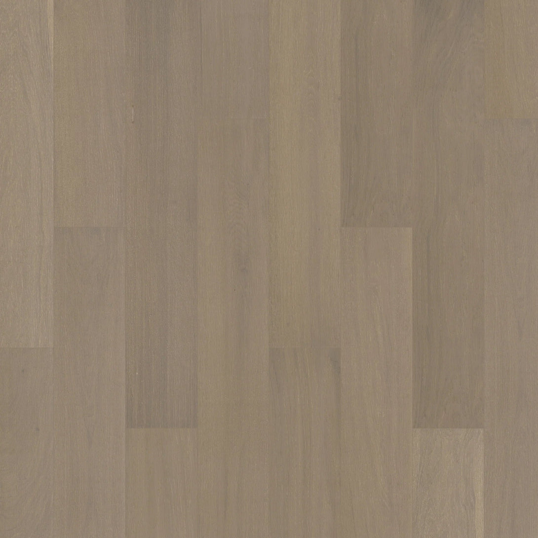 Oakel City - Engineered Hardwood Collection - Driftwood - Engineered Hardwood