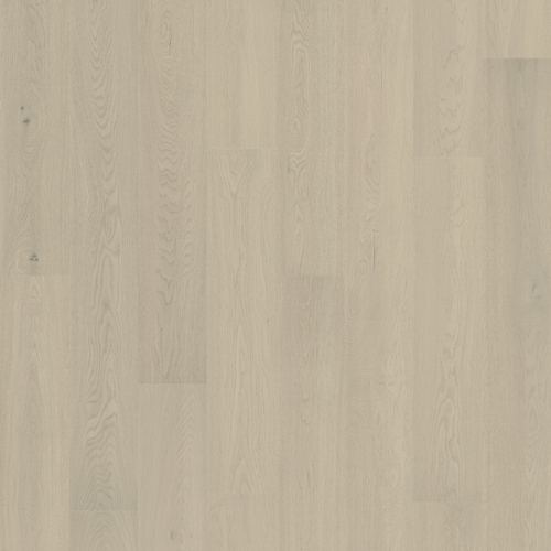 Oakel City - Engineered Hardwood Collection - Winter Fly (AB Grade) - Engineered Hardwood