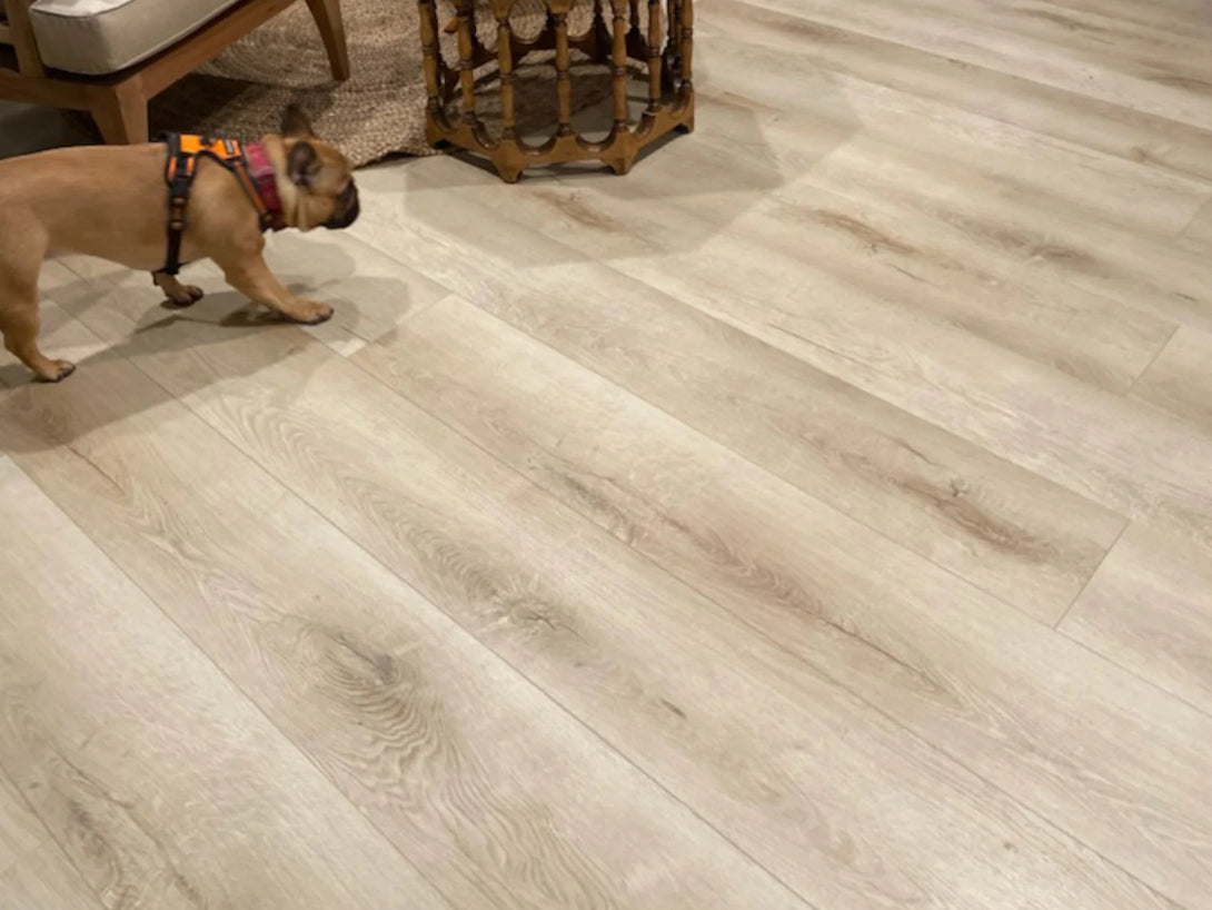 Pravada Floors - Evolutionz Nauticor Collection - Horizon - Vinyl
