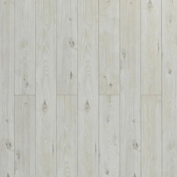 Toucan - Water Resistance Collection - TF8004 - Laminate